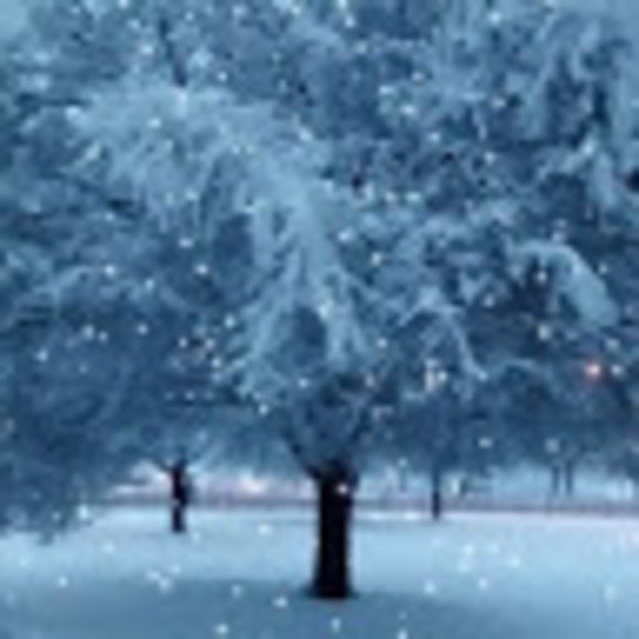 Meet your Posher, Patrick - Picture 1 of 1